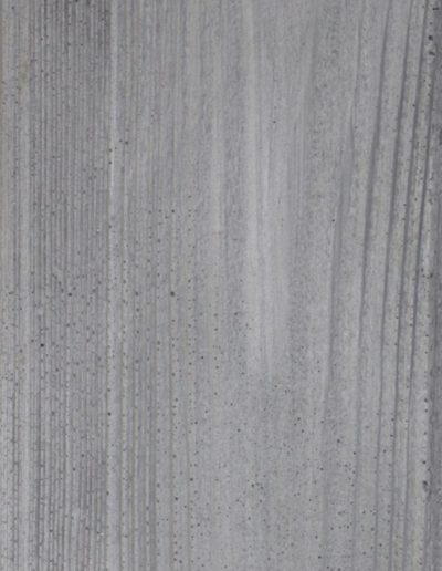 klon srebrny